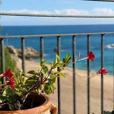 Cavall Bernat Platja d'Aro
