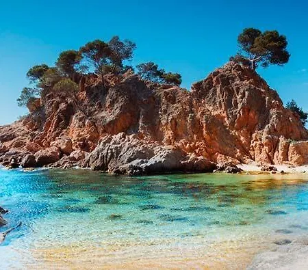 Apartment Cavall Bernat Platja d'Aro