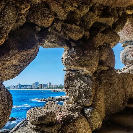 Cavall Bernat Platja d'Aro