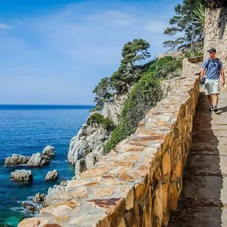Cavall Bernat Platja d'Aro