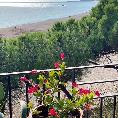 Cavall Bernat * Platja d'Aro
